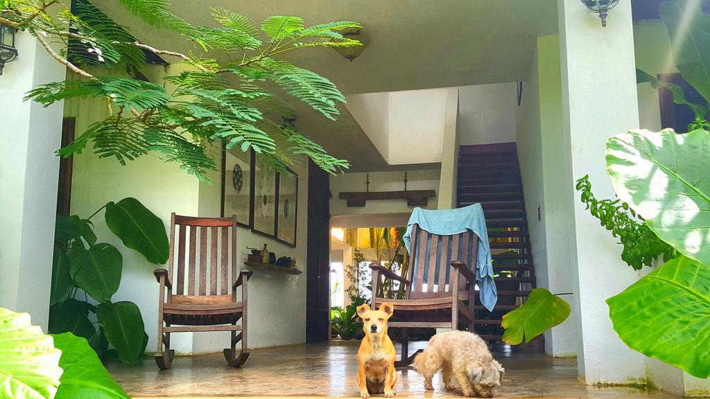 El Hotelito At The Rainforest Experience Farm Fajardo Extérieur photo