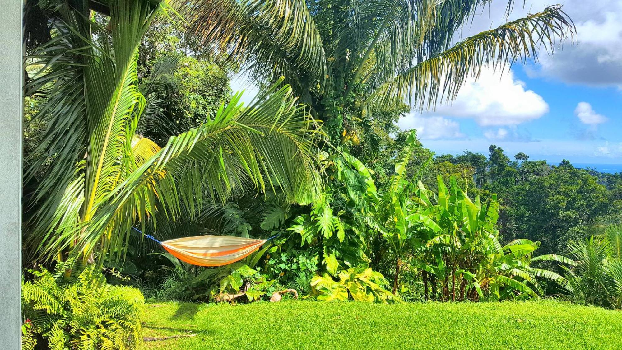 El Hotelito At The Rainforest Experience Farm Fajardo Extérieur photo